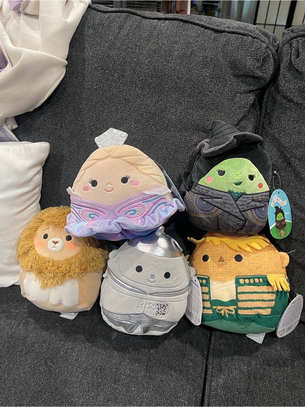 Wicked Squishmallow bundle